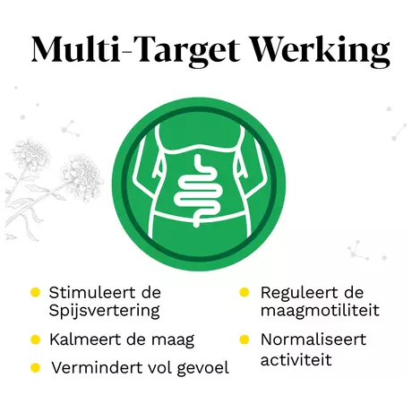 Iberogast Druppels Bij Prikkelbare Maag- En Darmklachten 50 ML