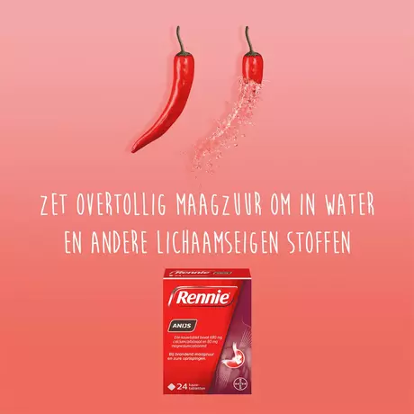 Rennie Anijs Kauwtabletten Bij Brandend Maagzuur 24 stuks