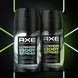 AXE Fine Fragrance Coconut & Sandalwood Lower Bodyspray 100 ML