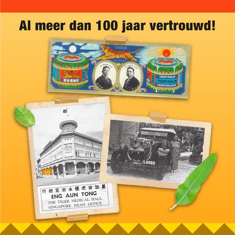 Tiger Balm Wit  19 gram