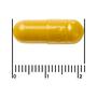 Etos Premium Curcuma Longa BCM95® 400mg 60 stuks