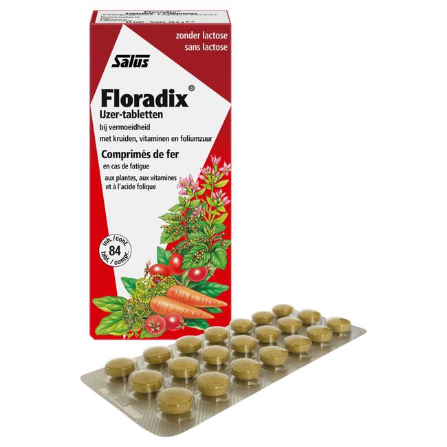 Diplomatieke kwesties afschaffen geluk Salus Floradix IJzer Tabletten 84 EA | Etos