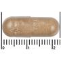Etos Overgang Capsules