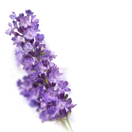 Kneipp Relaxing Badolie 100 ML