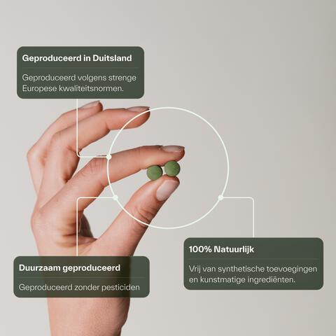 Plnktn Vitamine B12 120 stuks