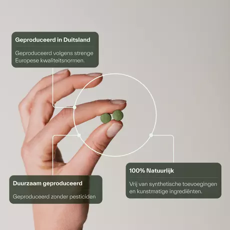 Plnktn Vitamine B12 120 stuks