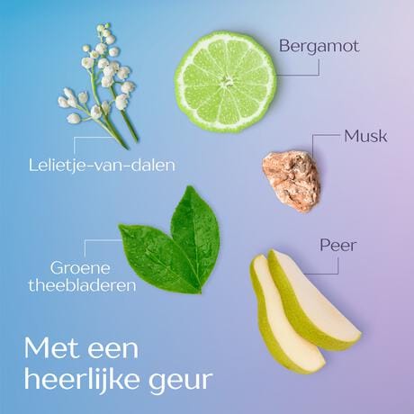 Andrélon Scalp Care shampoo scrub 200 ML