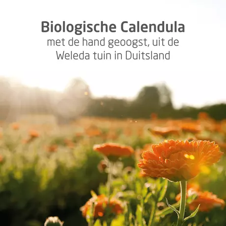 WELEDA Baby Calendula Bodycrème 75 ML