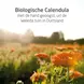 WELEDA Baby Calendula Bodycrème 75 ML