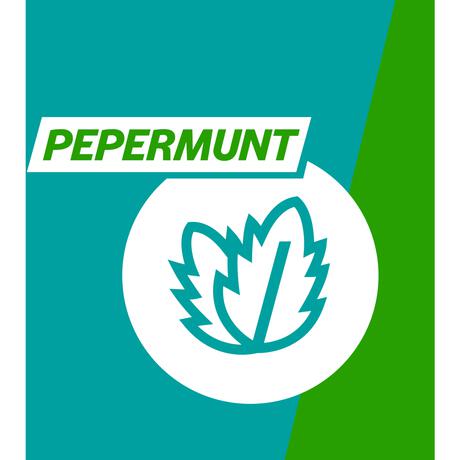 Gaviscon Kauwtabletten Pepermunt Maagzuurremmers 48 Stuks