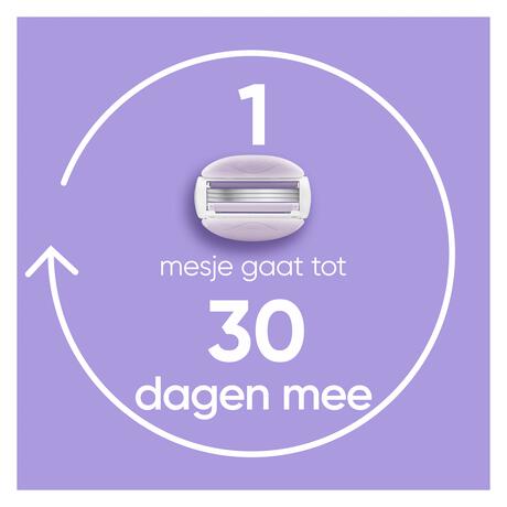 Gillette Venus ComfortGlide Breeze Navulmesjes 4 stuks