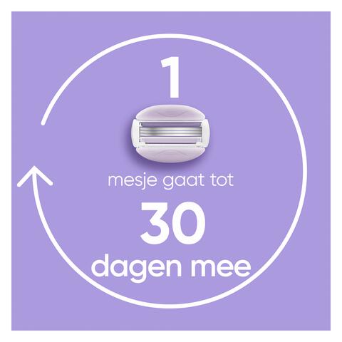Gillette Venus ComfortGlide Breeze Navulmesjes 4 stuks