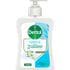 Dettol Handzeep Extra Care Kamille 250 ML