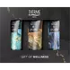 Therme Men 3 in 1 Wash Gift Set