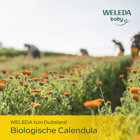 WELEDA Baby Calendula Weer & Wind Balsem 30 gram