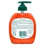 Palmolive Hygiëne Plus Family Antibacteriële Vloeibare Handzeep 300 ML