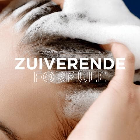 Garnier Loving Blends Charcoal Shampoo 300 ML