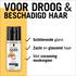 Gliss Kur Brilliant Tonic Droog Beschadigd Haar 100 ML