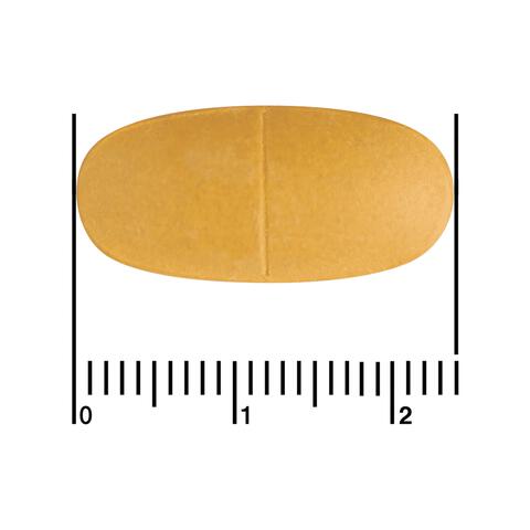 Etos Premium Multi Energie 60 stuks