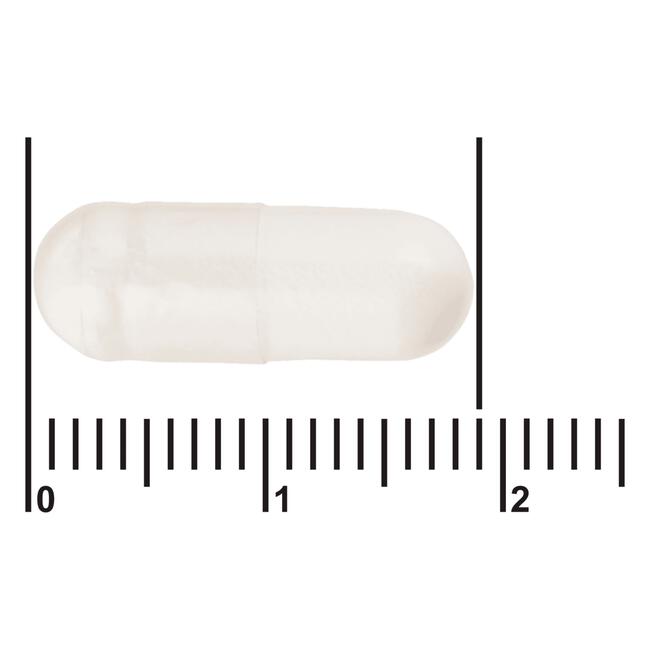 Etos Premium Selenium Zink 60 capsules