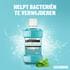 Listerine Mondwater Cool Mint Milde Smaak 80 ML