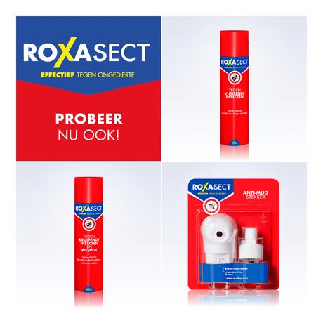 Roxasect Fruitvliegjes Vanger 1 stuk