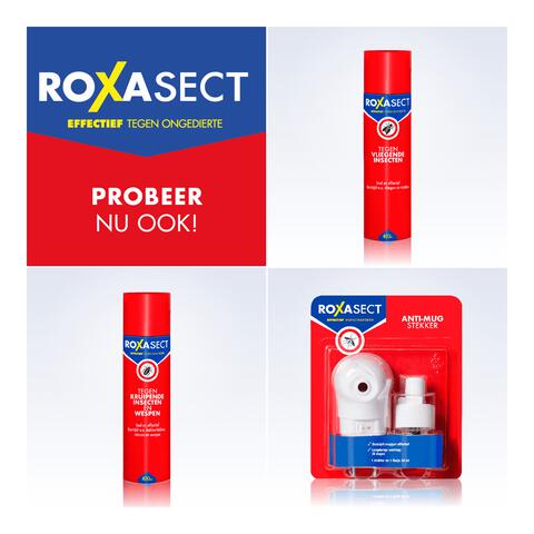 Roxasect Fruitvliegjes Vanger 1 stuk