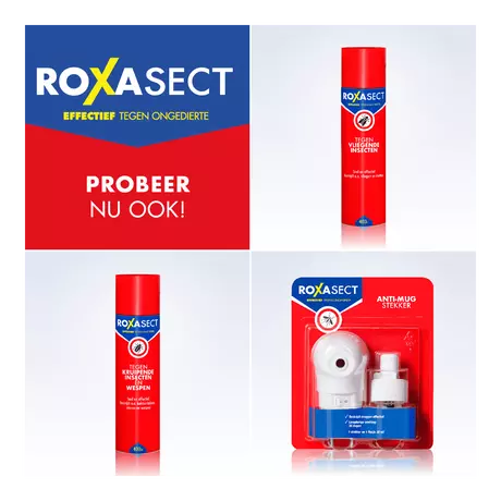 Roxasect Fruitvliegjes