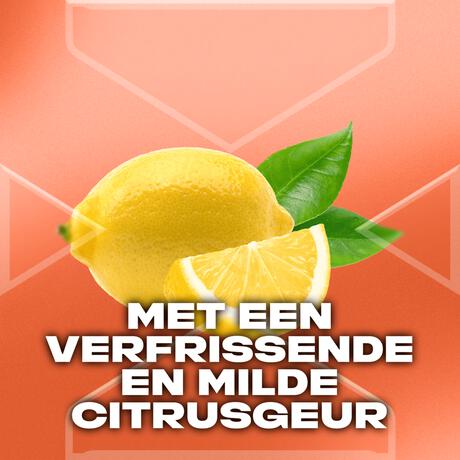 AXE Sunset Fresh Showergel 250 ML&nbsp;