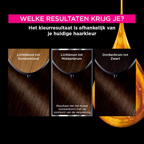 Garnier Olia Permanente Haarverf 4.0 Bruin