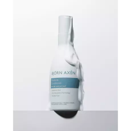 Bjorn Axen Moisture Conditioner 250 ML