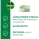 Dettol 2-iIn-1 Hygienische Doekjes 12 stuks