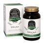 Royal Green  Spirulina Tabletten 60 stuks