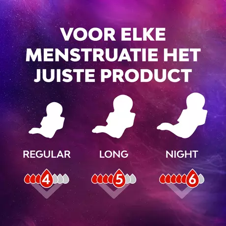 Libresse Maxi Maandverband Goodnight 10 stuks