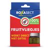 Roxasect Fruitvliegjes