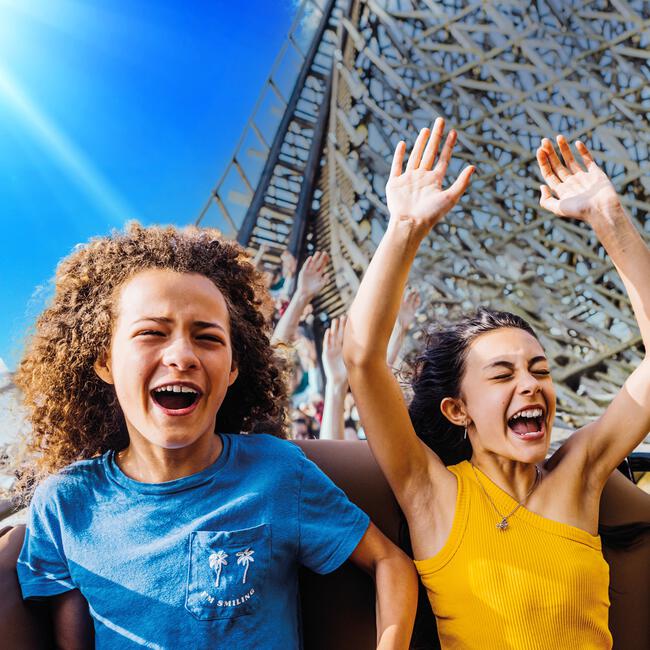Entreeticket Toverland Kinderen 90-140 cm