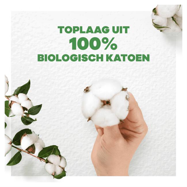 Always Cotton Protection Maandverband Night Met Vleugels 8 Stuks
