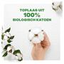 Always Cotton Protection Maandverband Night Met Vleugels 8 Stuks