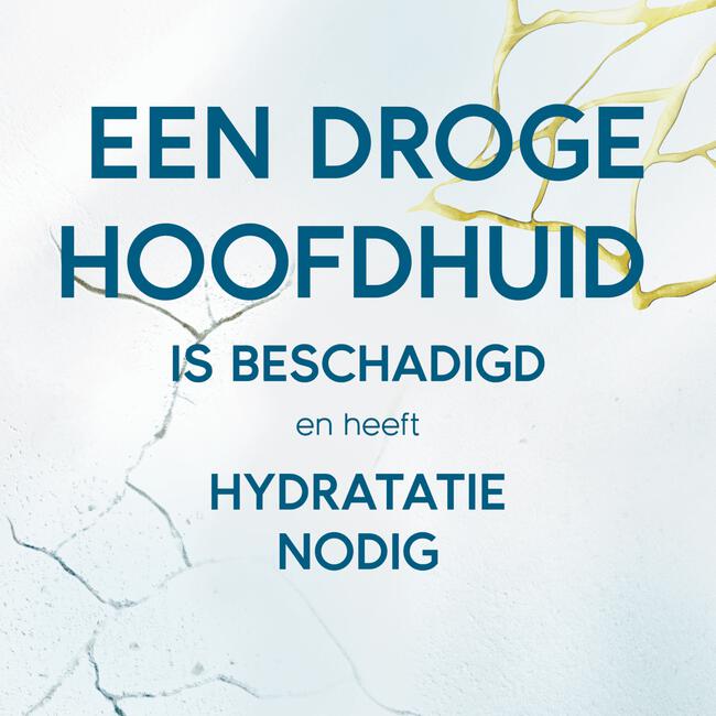 Head & Shoulders Derma X Pro Hydrateert Hoofdhuidbalsem Anti-roos 145ML