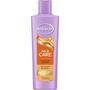 Andrélon Oil & Care Shampoo 250 ML