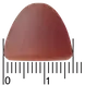 Davitamon Beauty Gummies 60 stuks