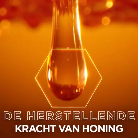 Garnier Loving Blends Honing Goud Herstellend Haarserum 115 ML