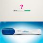 Clearblue Snelle Detectie Zwangerschapstest 2 Stuks