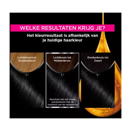 Garnier Olia Permamente Haarverf 2.0 Black Diamond