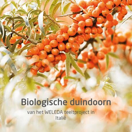 Weleda Vitality Duindoorn Douchecreme 200 ML