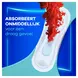 Always Maandverband Ultra Day Long Plus Wings 9 stuks