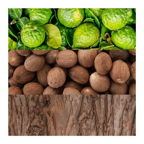 Calvin Klein Man eau de toilette 100 ML