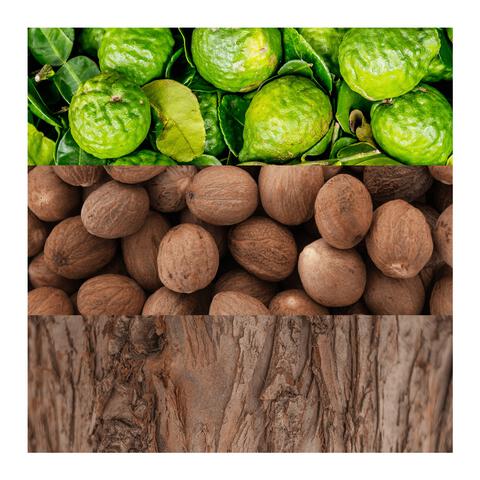 Calvin Klein Man eau de toilette 100 ML