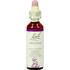 Bach Bloesem Essence Impatiens 20 ML