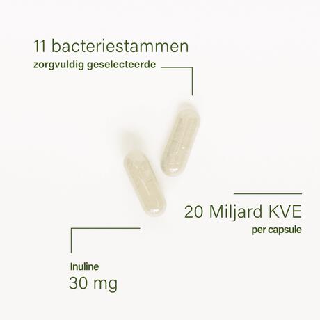 Nupure probaflor - Probiotica complex, hooggedoseerd met inulin, 30 capsules